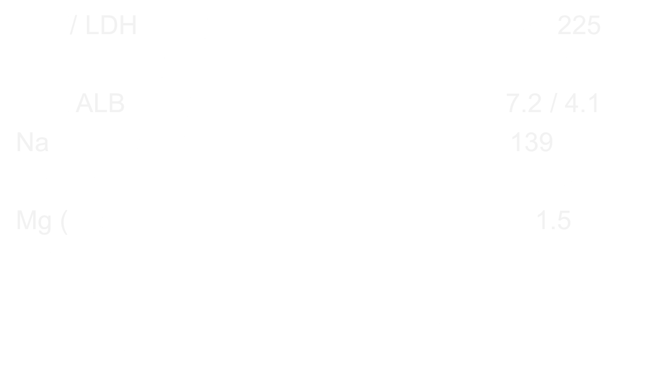 mm100-2-3-3.png